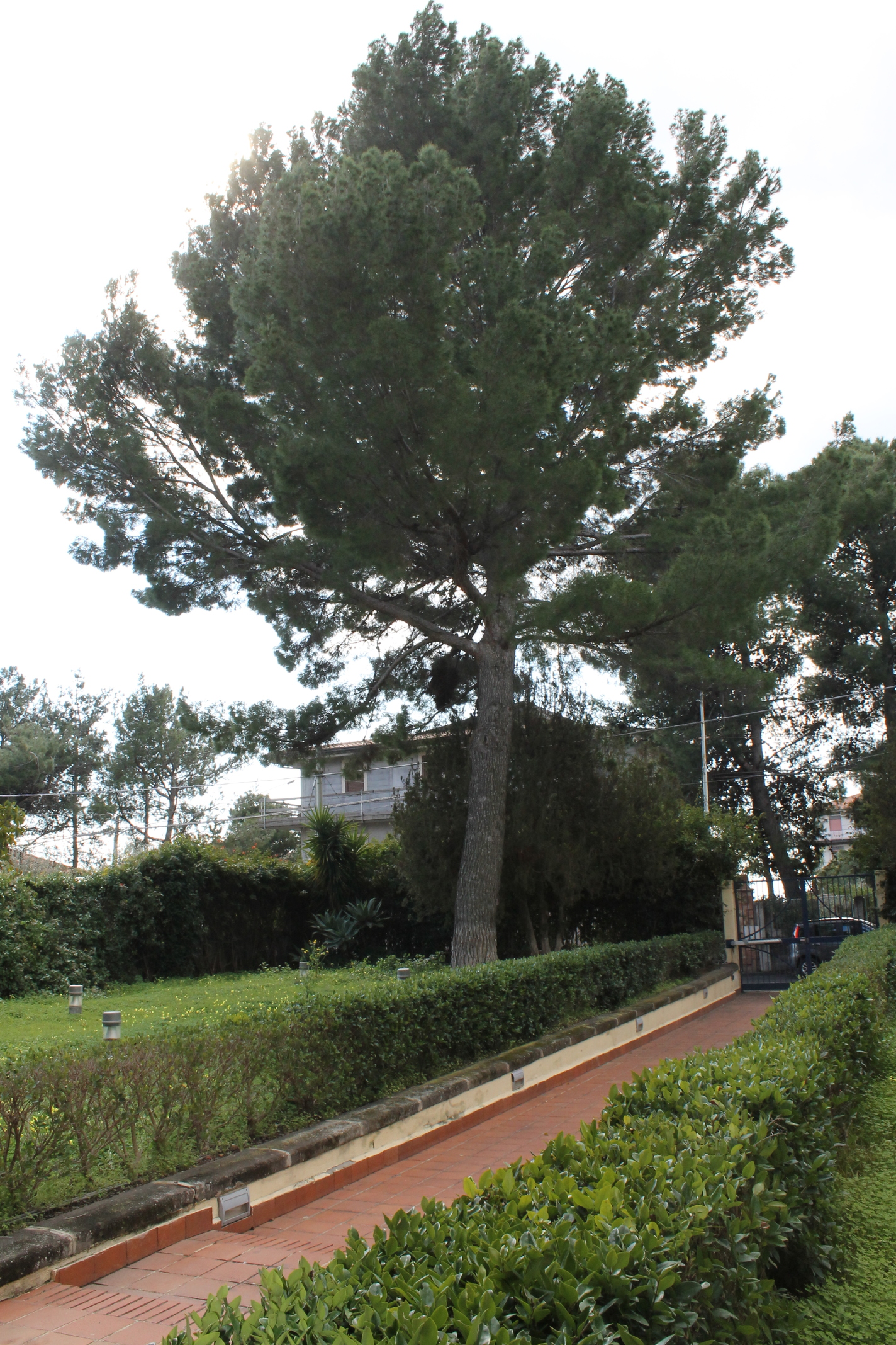 Casa Protetta Aura Radiosa